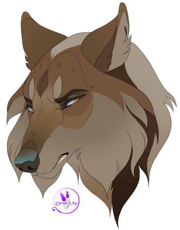 Reig Basic Headshot