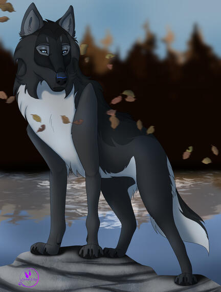 Standard Fullbody