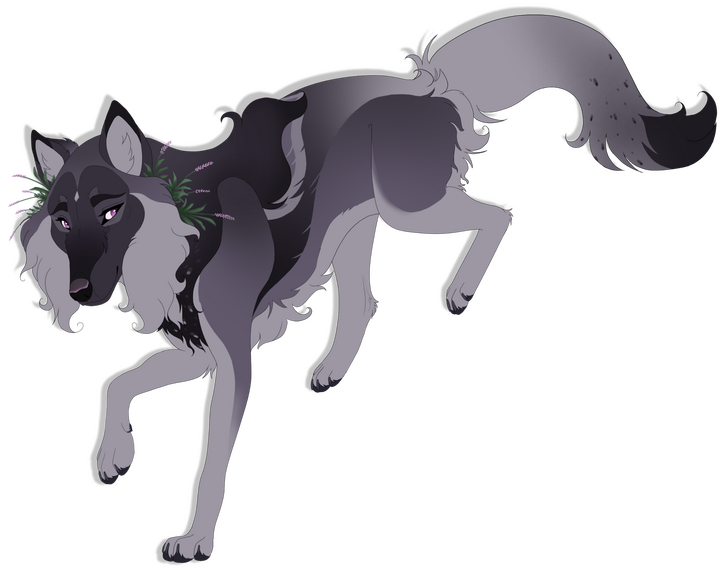 Basic Fullbody