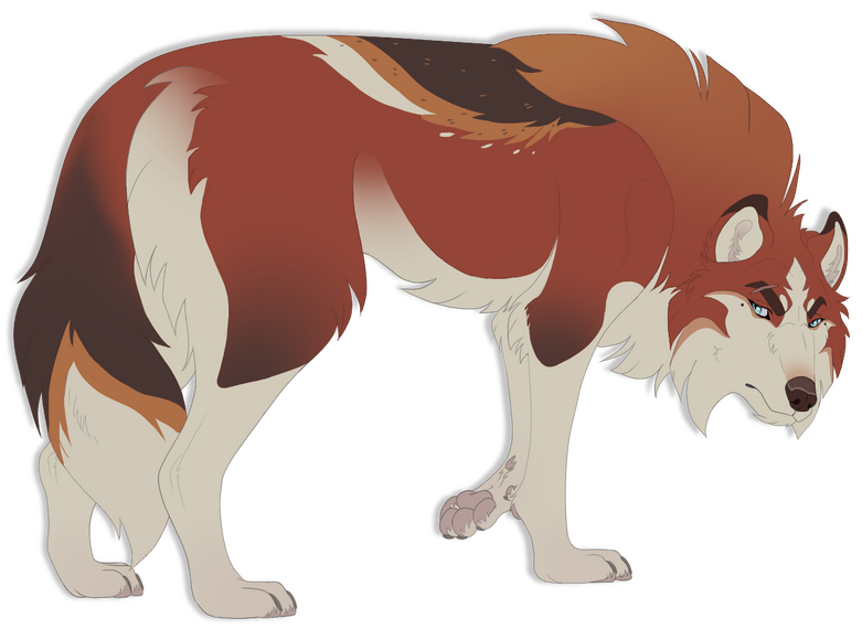 Custom/Fullbody